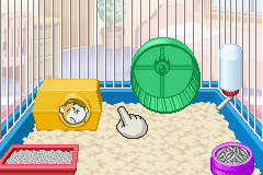 Petz - Hamsterz Life 2 (USA) Cover